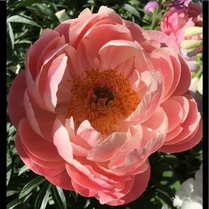 BACK TO SCHOOL SALE📚